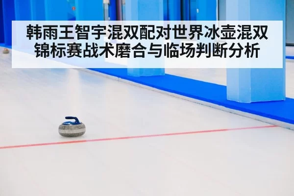 curling stone on ice